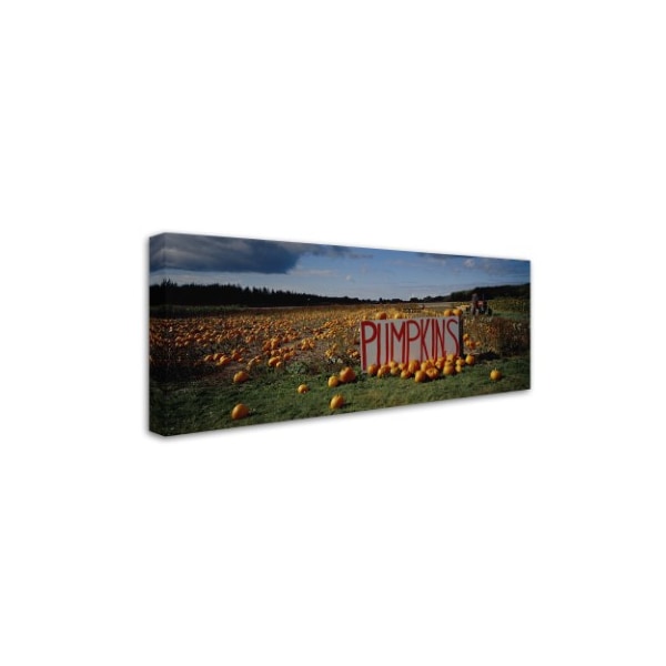 Robert Harding Picture Library 'Pumpkins' Canvas Art,10x24